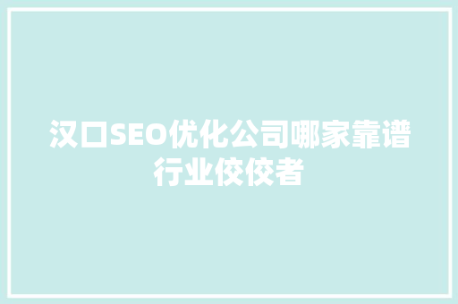 汉口SEO优化公司哪家靠谱行业佼佼者