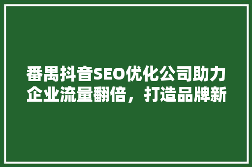 番禺抖音SEO优化公司助力企业流量翻倍，打造品牌新高度