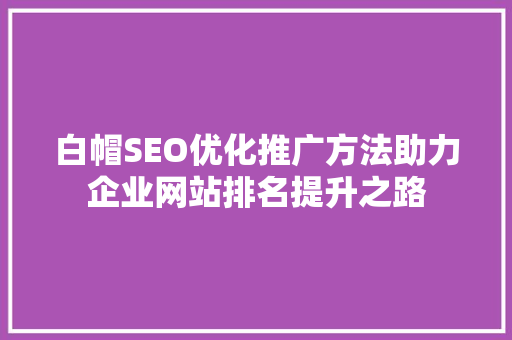 白帽SEO优化推广方法助力企业网站排名提升之路