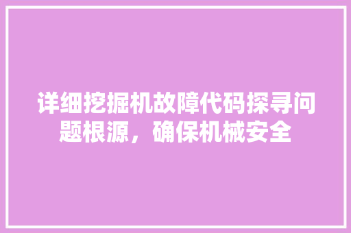详细挖掘机故障代码探寻问题根源，确保机械安全
