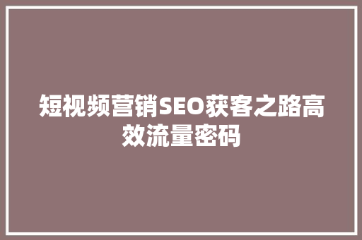 短视频营销SEO获客之路高效流量密码
