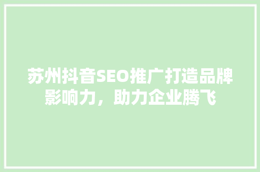 苏州抖音SEO推广打造品牌影响力，助力企业腾飞