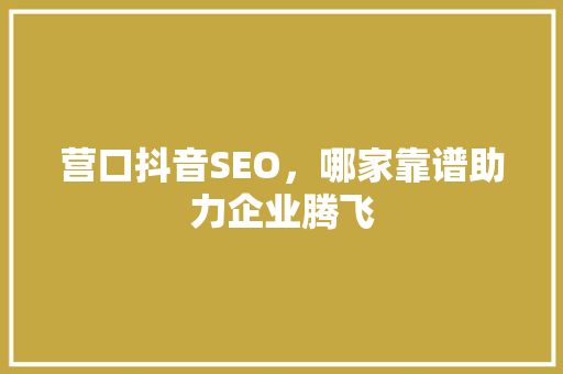 营口抖音SEO，哪家靠谱助力企业腾飞