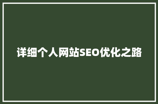 详细个人网站SEO优化之路
