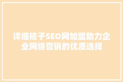 详细桔子SEO网加盟助力企业网络营销的优质选择