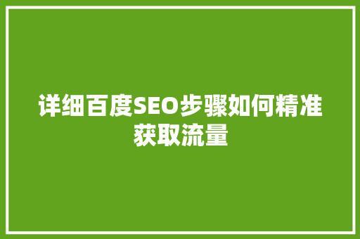 详细百度SEO步骤如何精准获取流量