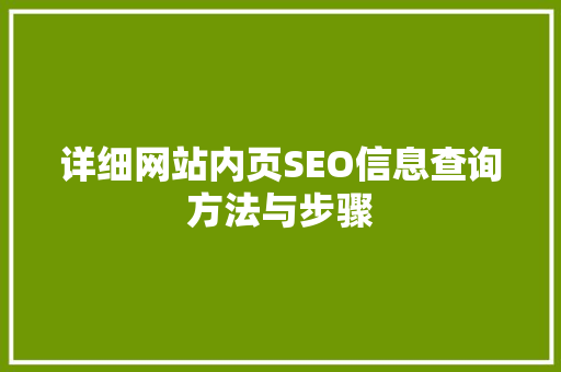 详细网站内页SEO信息查询方法与步骤