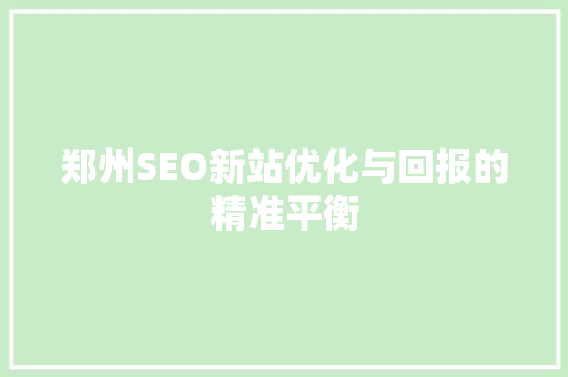 郑州SEO新站优化与回报的精准平衡
