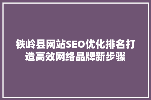 铁岭县网站SEO优化排名打造高效网络品牌新步骤
