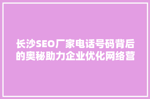 长沙SEO厂家电话号码背后的奥秘助力企业优化网络营销步骤