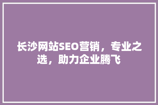 长沙网站SEO营销，专业之选，助力企业腾飞
