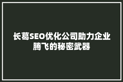 长葛SEO优化公司助力企业腾飞的秘密武器