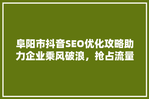阜阳市抖音SEO优化攻略助力企业乘风破浪，抢占流量高地