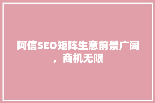 阿信SEO矩阵生意前景广阔，商机无限