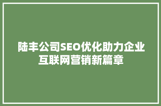 陆丰公司SEO优化助力企业互联网营销新篇章