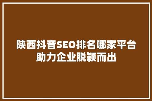 陕西抖音SEO排名哪家平台助力企业脱颖而出