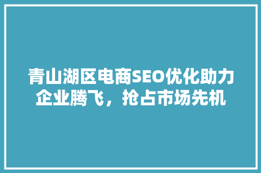 青山湖区电商SEO优化助力企业腾飞，抢占市场先机