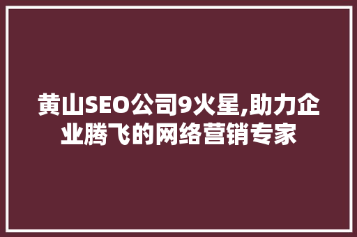 黄山SEO公司9火星,助力企业腾飞的网络营销专家