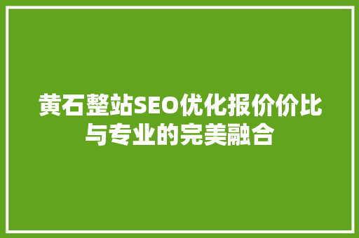 黄石整站SEO优化报价价比与专业的完美融合