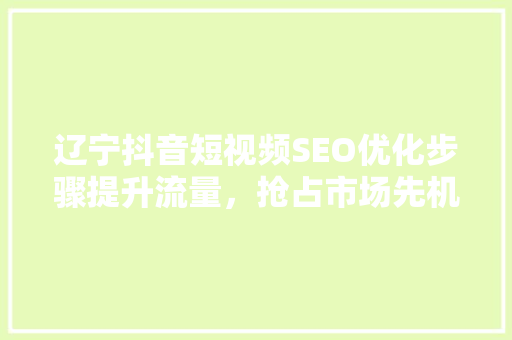 辽宁抖音短视频SEO优化步骤提升流量，抢占市场先机