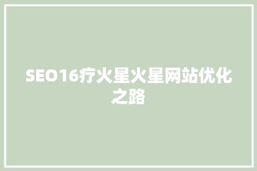 SEO16疗火星火星网站优化之路