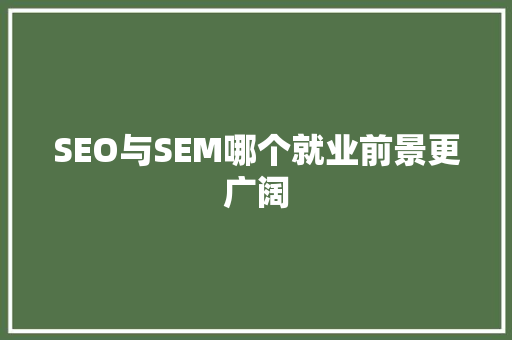 SEO与SEM哪个就业前景更广阔