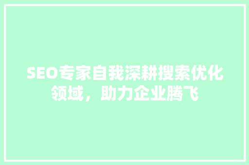 SEO专家自我深耕搜索优化领域，助力企业腾飞  第1张