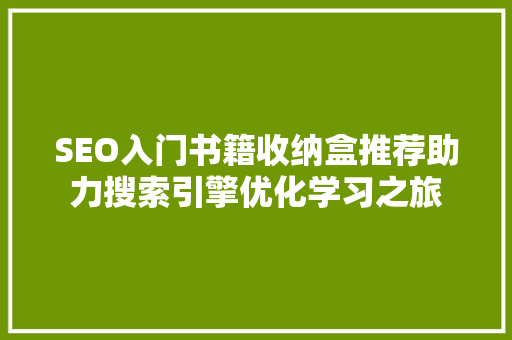 SEO入门书籍收纳盒推荐助力搜索引擎优化学习之旅