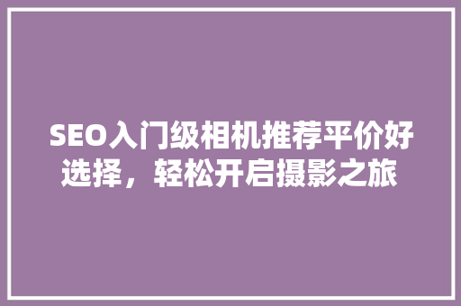 SEO入门级相机推荐平价好选择，轻松开启摄影之旅
