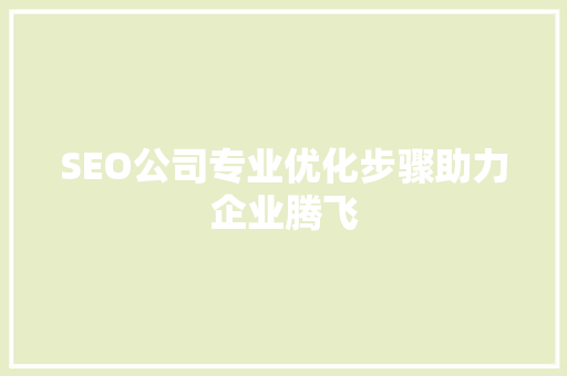 SEO公司专业优化步骤助力企业腾飞  第1张