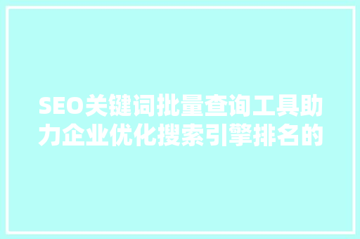 SEO关键词批量查询工具助力企业优化搜索引擎排名的秘密武器