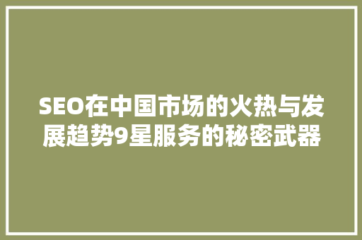 SEO在中国市场的火热与发展趋势9星服务的秘密武器