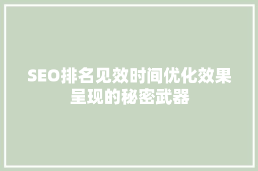 SEO排名见效时间优化效果呈现的秘密武器