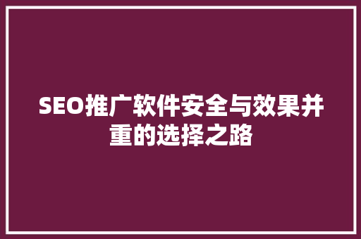 SEO推广软件安全与效果并重的选择之路
