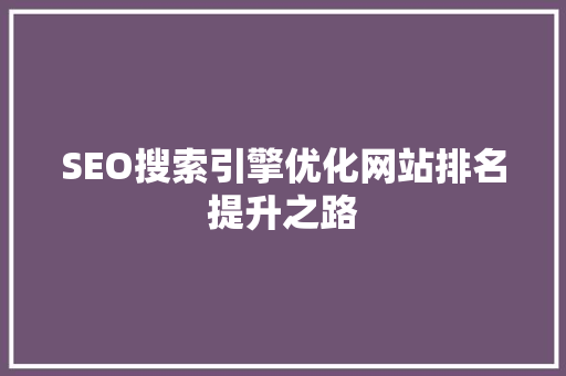 SEO搜索引擎优化网站排名提升之路  第1张