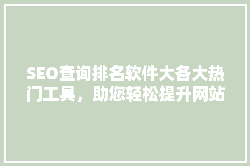 SEO查询排名软件大各大热门工具，助您轻松提升网站排名