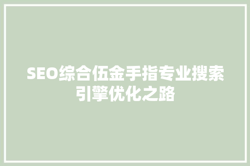 SEO综合伍金手指专业搜索引擎优化之路