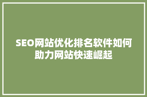 SEO网站优化排名软件如何助力网站快速崛起
