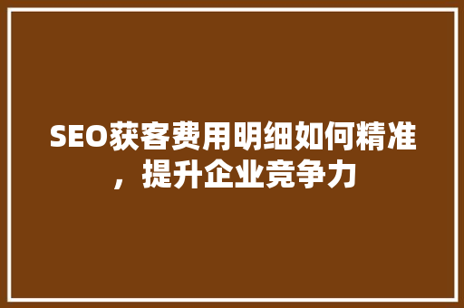 SEO获客费用明细如何精准，提升企业竞争力