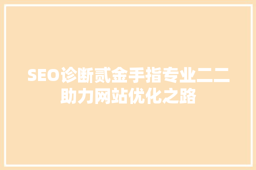 SEO诊断贰金手指专业二二助力网站优化之路