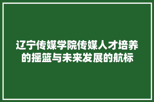 辽宁传媒学院传媒人才培养的摇篮与未来发展的航标