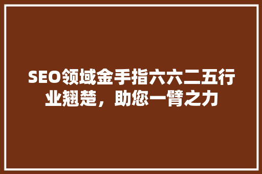 SEO领域金手指六六二五行业翘楚，助您一臂之力