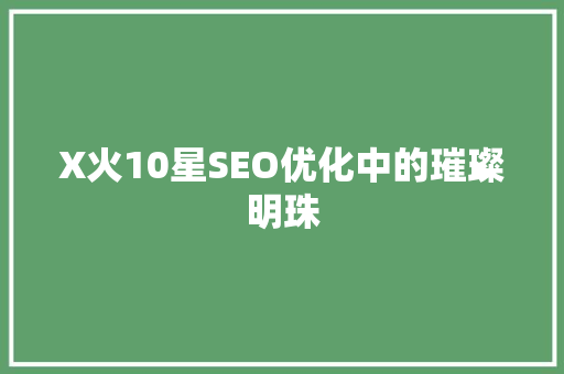 X火10星SEO优化中的璀璨明珠