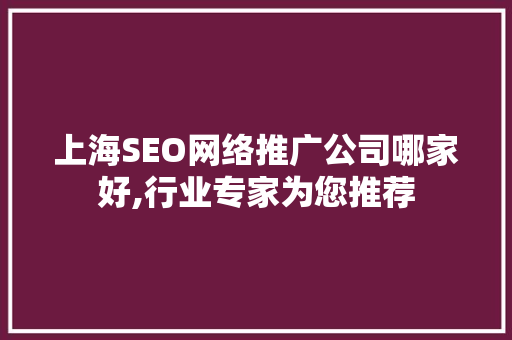 上海SEO网络推广公司哪家好,行业专家为您推荐