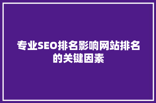 专业SEO排名影响网站排名的关键因素