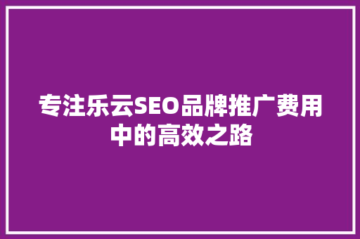 专注乐云SEO品牌推广费用中的高效之路