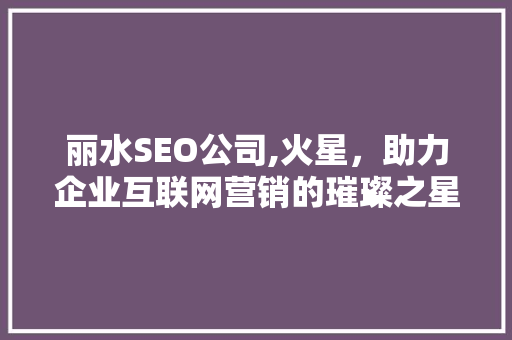 丽水SEO公司,火星，助力企业互联网营销的璀璨之星