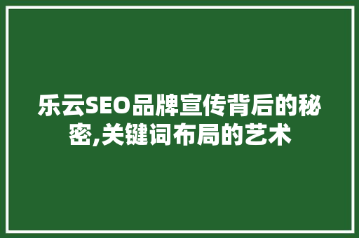 乐云SEO品牌宣传背后的秘密,关键词布局的艺术