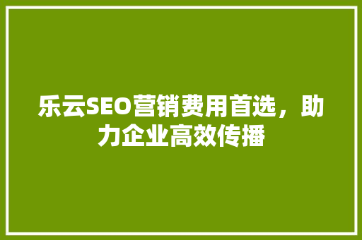 乐云SEO营销费用首选，助力企业高效传播