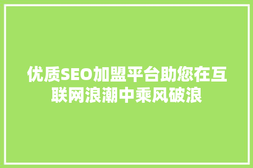 优质SEO加盟平台助您在互联网浪潮中乘风破浪